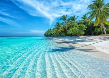 L’océan au cœur de la Fête de la science à Challans – Ouest-France