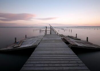 Panattoni lance City Dock by Panattoni, son nouveau projet en France – Business Immo