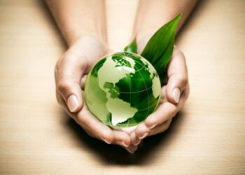 Éco-anxiété : le vert à moitié vide – France Culture