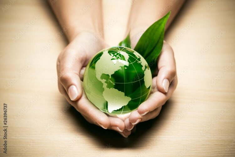 Éco-anxiété : le vert à moitié vide – France Culture Éco-anxiété : le vert à moitié vide – France Culture