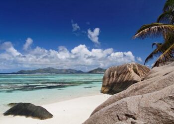 De Paris au Mont-Saint-Michel, le cheval d’argent des JO va traverser la France – RMC De Paris au Mont-Saint-Michel, le cheval d’argent des JO va traverser la France – RMC