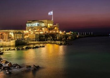 Procuration 100% numérique avec France Identité – Montpellier.fr