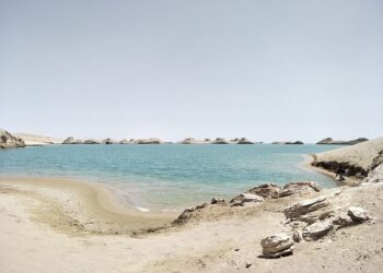 Malaise dans l’entreprise – France Culture