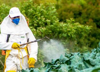 « Tous exposés » : une campagne choc contre l’usage des pesticides – France Inter