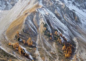 Gérard Larcher en visite au Sahara occidental sur fond de tensions avec l’Algérie – FRANCE 24