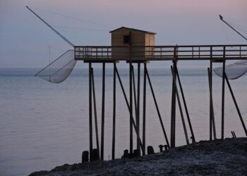 Gironde : à Bordeaux, les zones piétonnes ne font pas l’unanimité – franceinfo