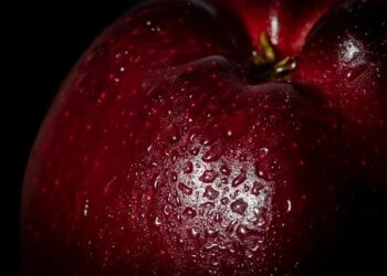 Bon Entendeur dévoile son nouvel album Rivages. – Sony Music Entertainment France