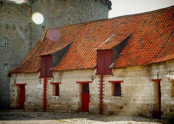 Hauts-de-France Business du mardi 25 février – Dunkerque : des logements SIA Habitat inclusifs – BFM Grand Lille