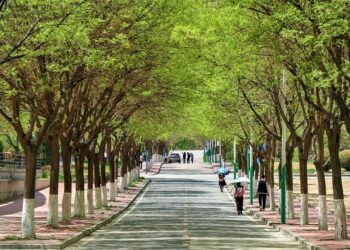 Le programme French+Sciences – Campus France