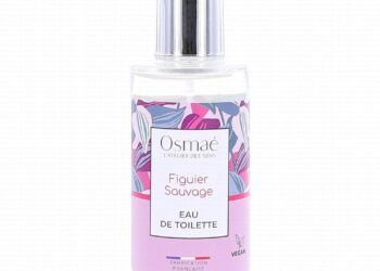 Les Graines du figuier sauvage – Film 2024 – AlloCiné