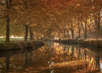 L’accompagnement de KPMG dans le secteur de la Santé et des sciences de la vie – KPMG