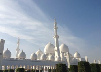 Top 14. Mohamed Haouas pourrait être mis à pied par Montpellier et sanctionné financièrement – Ouest-France