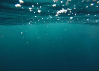 La fête de la science 2024 s’intéresse à l’océan | Le Maine Libre – Ouest-France