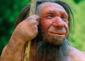 L’homme de Denisova / Régénération chez les animaux / Deepfakes – France Culture