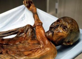 Le corps momifié découvert à Lyon est celui d’une Nantaise, un homme mis en examen pour meurtre – Ouest-France