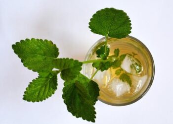 Melissa Geffard (Ledscape) et Laurence de Touchet (Business France) : En route vers le CES de Las Vegas – 09/12 – BFM Business