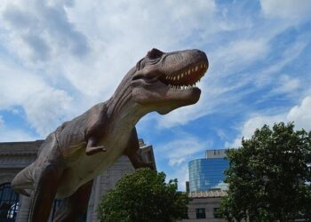 Dinosaures et marché parallèle : la France face au trafic de fossiles – Charente Libre