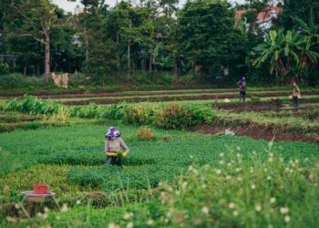Mylène Farmer – Nevermore – Le Film – AlloCiné