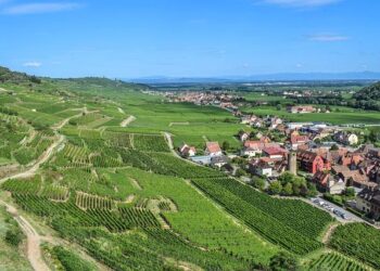 Alsace. Strasbourg parmi les villes les plus ensoleillées (et arrosées) de France depuis le début de l’année ! – DNA – Dernières Nouvelles d’Alsace Alsace. Strasbourg parmi les villes les plus ensoleillées (et arrosées) de France depuis le début de l’année ! – DNA – Dernières Nouvelles d’Alsace