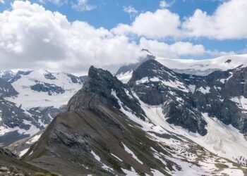 Neuromanie : un vrai casse-tête ? – France Culture