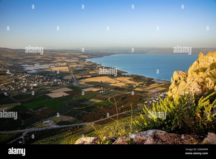 Galilée et les mathématiques, depuis que le monde est nombre – France Culture Galilée et les mathématiques, depuis que le monde est nombre – France Culture