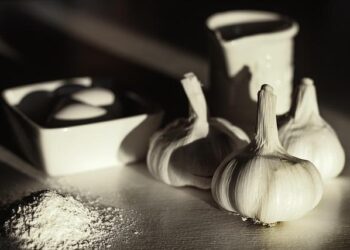 Au nord de Nantes, un camion finit au fossé, sans perdre les 28 000 litres de lait qu’il transporte – Ouest-France Au nord de Nantes, un camion finit au fossé, sans perdre les 28 000 litres de lait qu’il transporte – Ouest-France