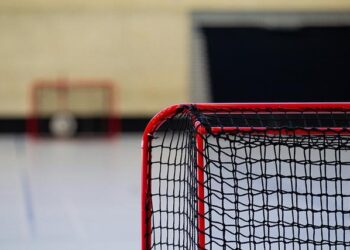 Hockey sur glace : deux matches de l’équipe de France à Marseille en avril – La Provence