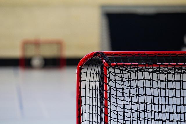 Hockey sur glace : deux matches de l’équipe de France à Marseille en avril – La Provence