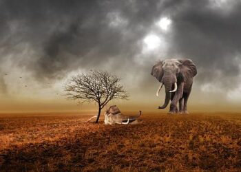 La grisaille va-t-elle se poursuivre mardi à Toulouse et en Occitanie? Les prévisions de Météo France – Le Journal du Pays Yonnais