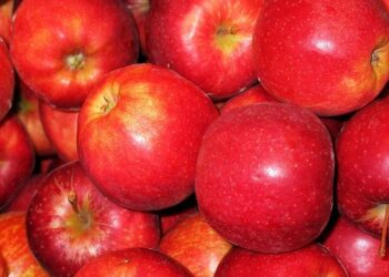 Gala d’Hiver de Forbes France : quand le cinéma rencontre le business à Courchevel – Forbes France