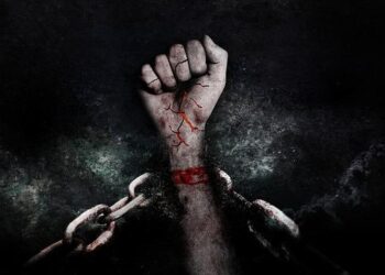 Steliau Technology – France vous présente l’UHD X_TS, de Digital Forecast : le « Trouble Shooter » de vos signaux 4K/UHD, en HDMI 2.0 et 12G-SDI – ElectroniqueS