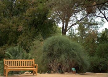 Rejoindre Barcelone depuis Lille en train de nuit ? Un projet qui pourrait voir le jour d’ici 2026 – France 3 Régions