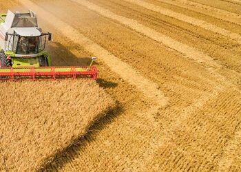 La France inquiète de la «vision» de l’UE pour le monde agricole, selon Annie Genevard – Le Figaro La France inquiète de la «vision» de l’UE pour le monde agricole, selon Annie Genevard – Le Figaro