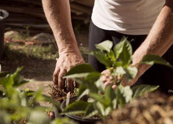 Business Day – Sommet pour l’action sur l’intelligence artificielle – Big média