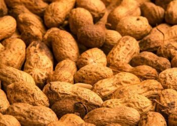 Julien Doré – Sony Music Entertainment France