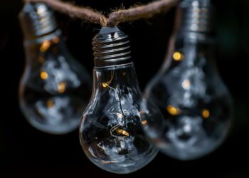 L’innovation frugale, un levier de transformation pour une croissance durable ? – Harvard Business Review France L’innovation frugale, un levier de transformation pour une croissance durable ? – Harvard Business Review France