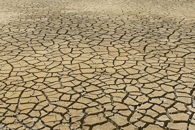 Penaud face à ladversité : stratégies pour compenser le changement