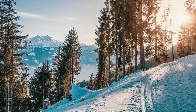 Découverte des pistes : un paradis pour les amateurs de ski