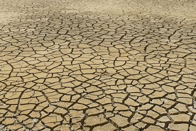 Préparation au changement climatique : anticiper les événements météorologiques extrêmes