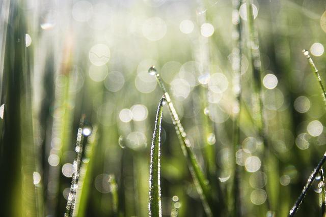 L'engagement de Biogen en faveur de la santé durable et responsable