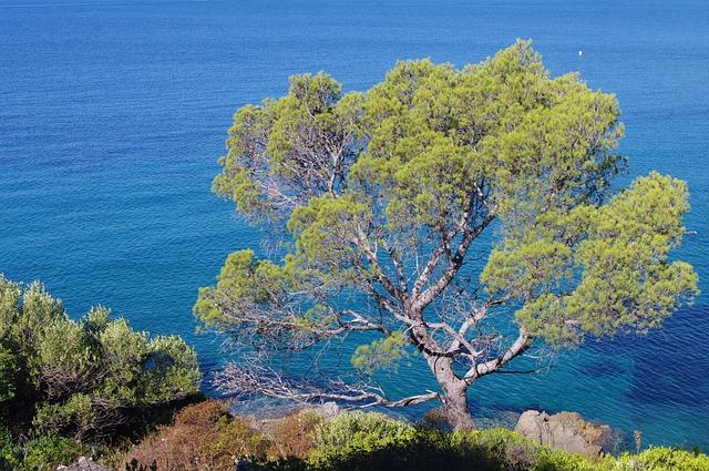 Les trésors culturels de la Côte dAzur : pourquoi Nice est au cœur de l’art