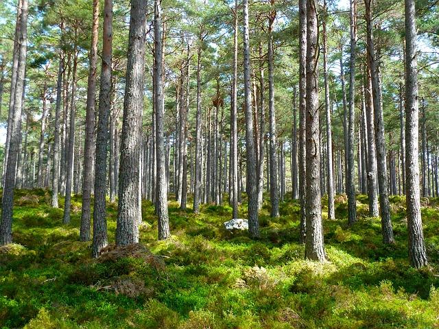 Des initiatives concrètes pour stimuler l'innovation écologique en Europe