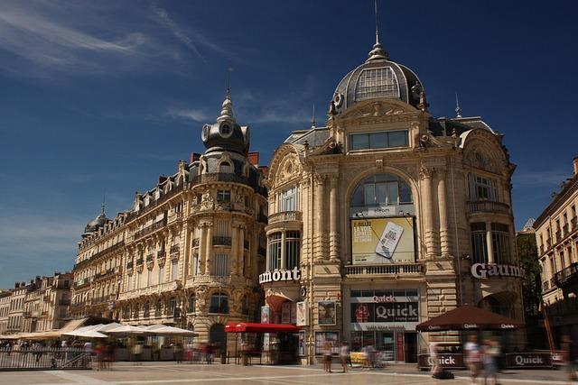 Analyze du marché : les opportunités et défis pour Montpellier