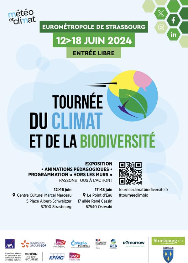 Analyse des conditions climatiques spécifiques à la région