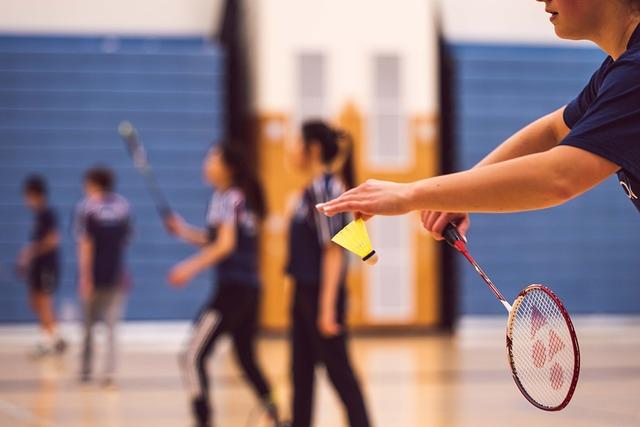 Badminton - Top 12. Précieux match nul de Rostrenen à Strasbourg - Ouest-France