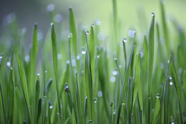 Témoignages dinitiatives citoyennes autour ⁣de lagriculture