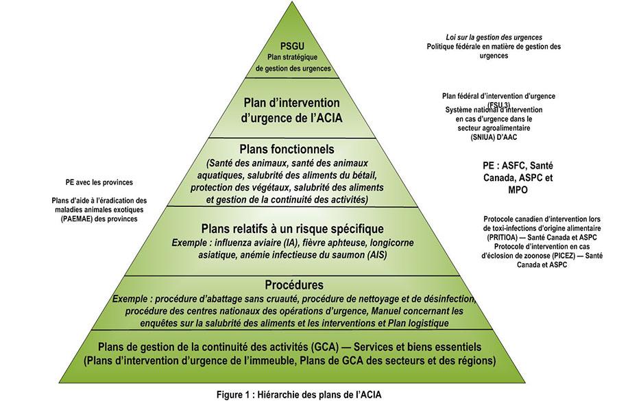 Recherche de solutions : comment améliorer la gestion des urgences en France