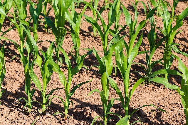 Méthodologie de forage : une technique révolutionnaire pour la recherche glaciaire