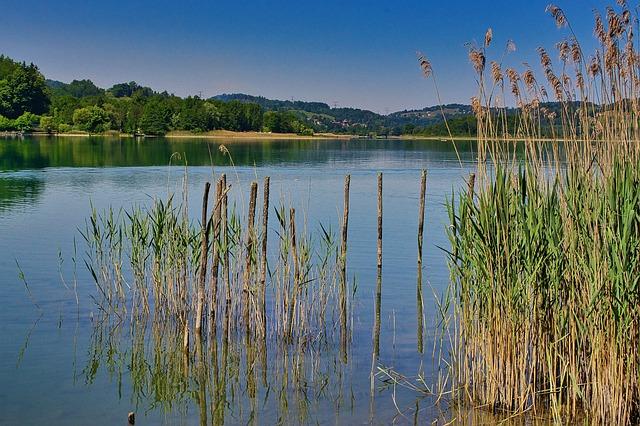 Le ⁣Rhône⁤ en ⁤alerte rouge : comprendre les enjeux ⁤hydrologiques