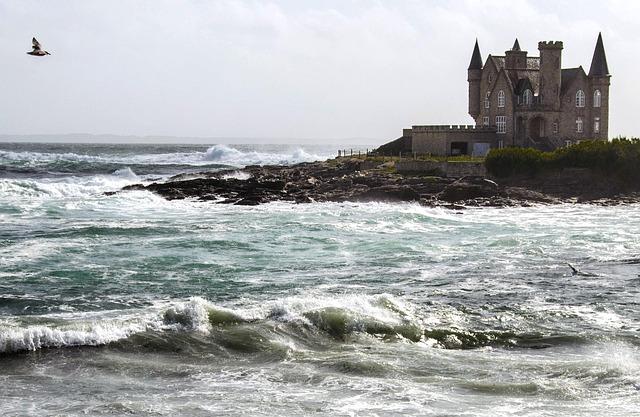 La réalité des élevages porcins en Bretagne et‍ Pays de la‌ Loire